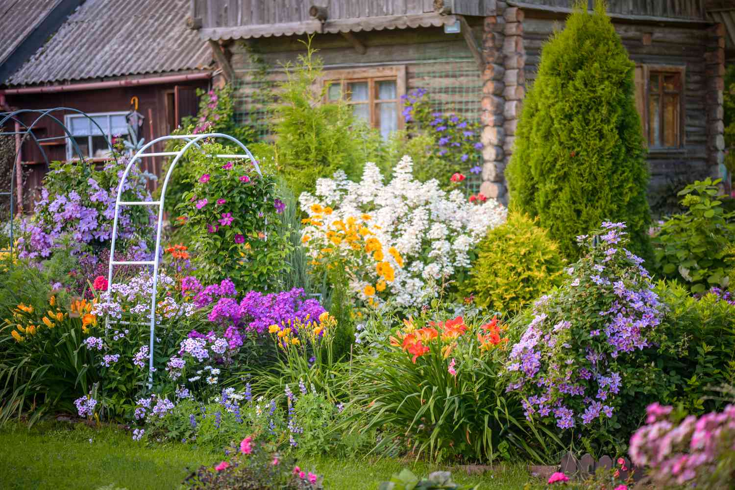 Our garden portfolio